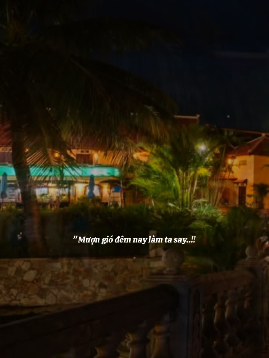 Mượn gió...làm ta say!! #trạmcảmxúc  #tramnhac741  #foryou  #xuhuong  #fpy 