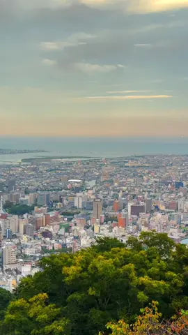 Isi kata kata sendiri #kenshuseijapan🇮🇩🇯🇵🎌 #fyp #mentahanvideo #pmijepang🇯🇵 #mentahankatakata