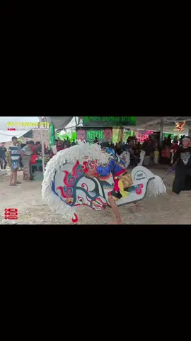 mas jnt 😍🔥 . @boskancil341  . #fyp #jaranan #belitang24jam #foryoupage #belitangokutimur 