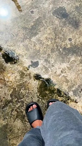 kotorr mass#fyp #miom3modifikasi #platkt 