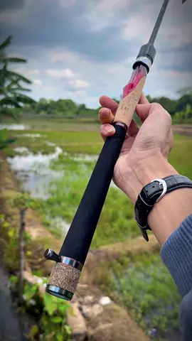 Joran spek kolam terjangkau | ada stoper, ring titanium, gagang nyaman #mancing #mancingmania 