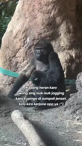 #fypp ada yang tau😪#jowopride #katakata #sedih #puitekchanel 