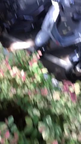 😎 #rollsroyce #carspotting #carsoftiktok 