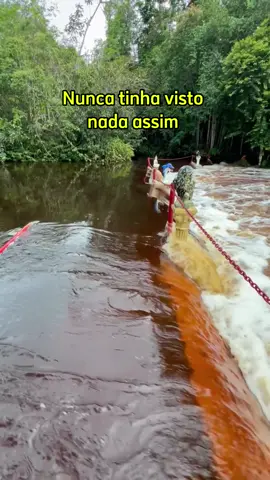 Amazônia. 