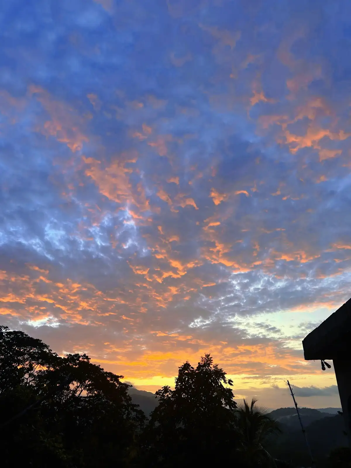 #calm #fyp #fypシ #nature #peaceful 