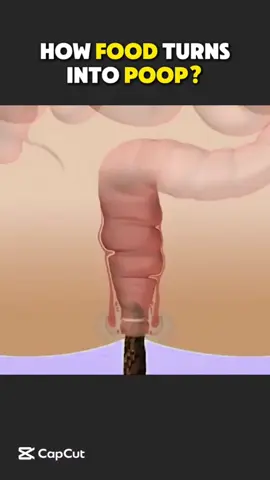 @ឧកញ៉ា សំណាង 