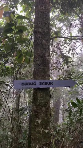 Lokasi :Curug sabuk via jamuju Kp jamuju, desa sindulang, kec cimanggung sumedang  Cuma butuh waktu 1jam 20 menit atau 5km tracking ke curug sabuk  Cocok bnget buat yg suka olahraga tracking ke hutan. #tukangulin #curugsabuk #jabar #sumedang #wisatasumedang 