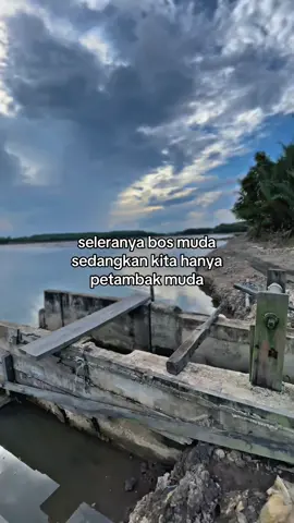 #fypシ゚ #petambakmuda #tambakudang #foryoupage #viraltiktok 