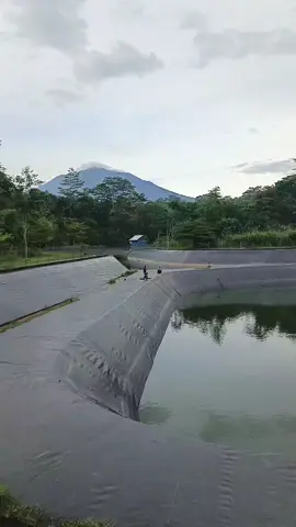 inpo terkini#fyppppppppppppppppppppppp #fypシ゚viral #sorotan #amisteam 