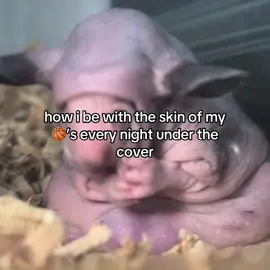 it’s just comfortable #fypシ 