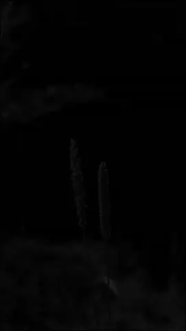 #maumerestory#storytime #lewaterandamufypシ゚viraltiktok #promoseruweekend #fyp 