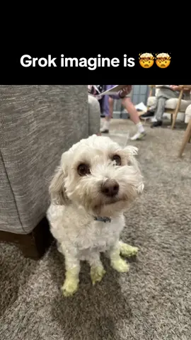 Just messing around with Grok imagine.  It’s pretty impressive 🙌🏻 #openai #grok #fyp #ai #aivideo 