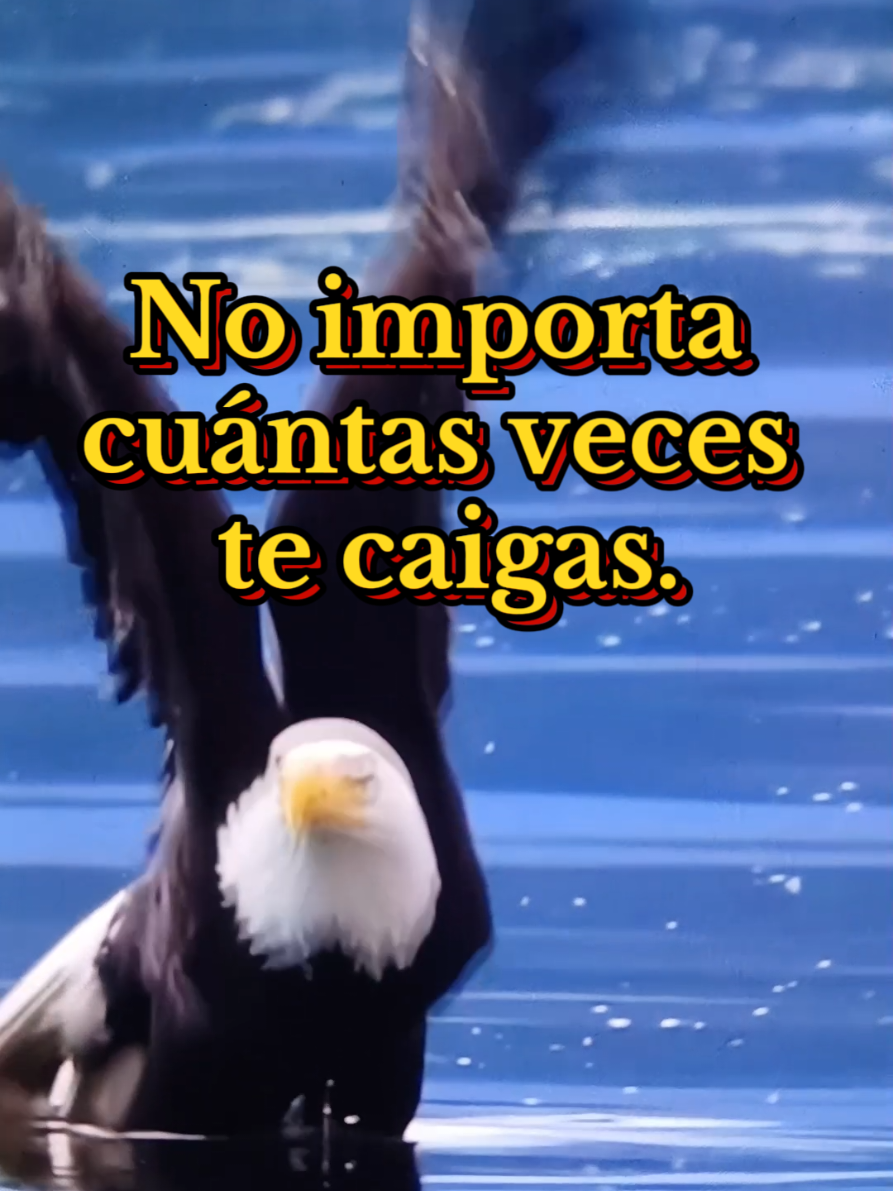 frases motivación no importa cuántas veces te caigas levántate más fuerte que nunca #frases #motivacion #mentepositiva #paratiiiiiiiiiiiiiiiiiiiiiiiiiiiiiii 