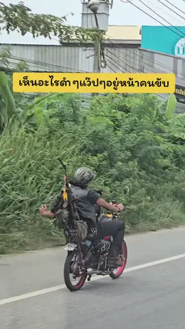 อะไรดำๆเกาะรถ...ต้องยกมือถือชึ้นถ่ายกันเลย📸  #ขออนุญาตพี่ในคลิปนะคะ  #อย่างเท่ห์   #catlover #แมวน่ารัก  #น้อลไปเที่ยวไหน