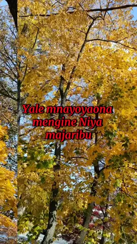 JIPENI MOYO BY ZENICE #catholics #foryoupage #catholic #kenyaninusa🇰🇪🇺🇸 