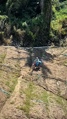 Info ojekan😎#CapCut #fyp #ojekbawangenrekang #petaniindonesia🇮🇩🇮🇩🇮🇩🌿🌿 #petanimuda 