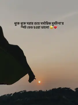 ধুকে ধুকে মরার চেয়ে মর্মান্তিক দুর্ঘটনা'য় স্পট ডেড হওয়া ভালো 😅💔#viral #support #trending #sadcaption #unfreezemyacount 