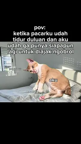 sedih ditinggal tidur dluan😔 #meme #memekucing #kiyotakiiii #fyp #kucinglucu 