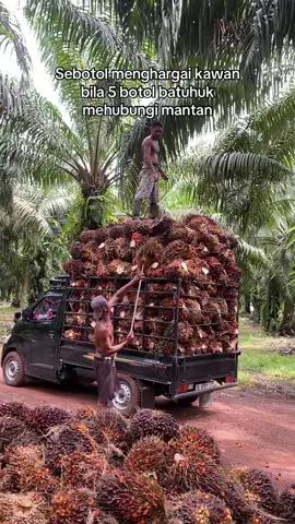 Tebak tonase#drivermudapunyacerita #sawitkalimantan #grandmaxpickup #sttstory #tampildiberanda @𝙀𝘽𝙀𝙉𝙆 @HAIDIR @inisialsm👑 @van @gilllllll14 