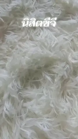 #นิสิตซีจี #tiktokshopครีเอเตอร์ #รีวิวบิวตี้ #tiktokshop1111ลดอลังแห่งปี #ร้านแนนนี่shop 