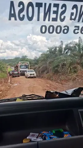 infonya belicak kawan #fyppppppppppppppppppppppp #kuliday #pastifyp #kalbar 