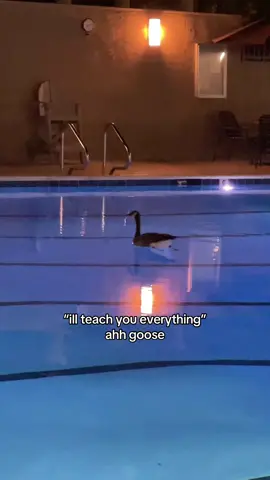 Im csm brain rotted bro #csm #rezearc 