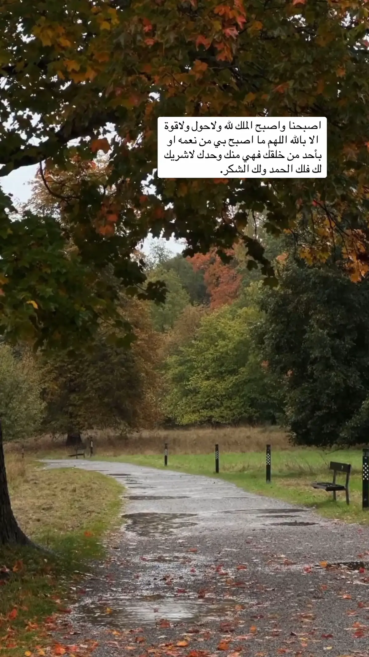 #استغفرالله_العظيم_واتوب_اليه #اللهم_صل_وسلم_على_نبينا_محمد 