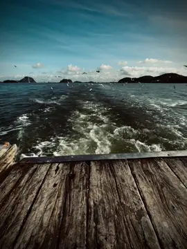 “当你没钱时，亲戚是路人；当你有钱时，路人是亲戚。” Khi bạn không có tiền, họ hàng là người dưng  khi bạn có tiền, người dưng hóa họ hàng.