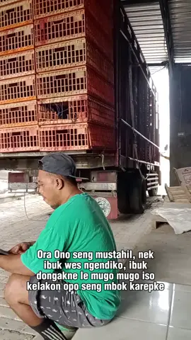 🚶🚶🚶 #Anak_Rantau  #Peternakan  #Ayam_Broiler  #Abk  #Anak_Buah_Kandang 