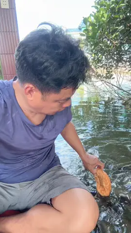 Vậy mà nó kêu nói sự thật 🤣🤣🤣