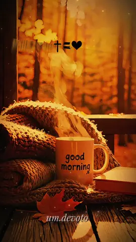 Bom dia, Deus 🙏❤️! #domingo #bomdia #status #oração #bomdia 