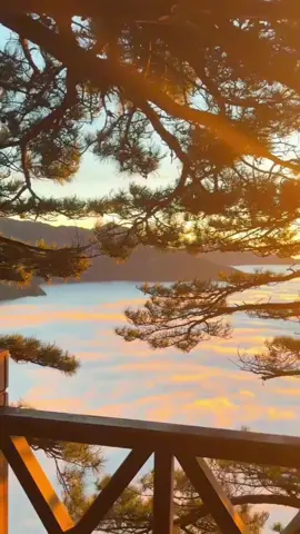 Cuộc đời ko mong ngừng thôi sóng gió mà chỉ mong mình đủ sức để vượt quá 🍀🍀🍀 #canhdep #kiniem #foryou #ynghiacuocsong #nhungcaunoidangsuyngam 