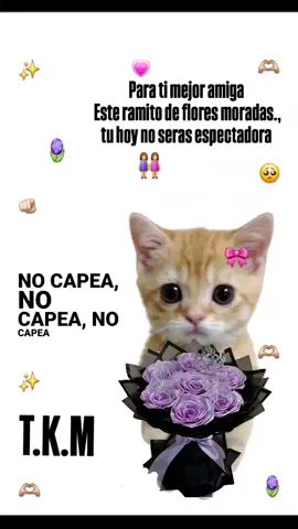 Dedica hoy 9 de noviembre 