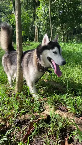 Jemur pagi biar sehat haha