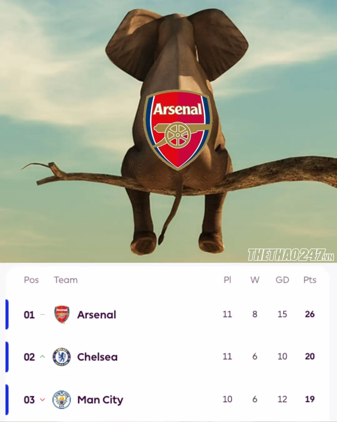 Chú Voi Arsenal lại ngồi cành cây #thethao247 #SportsOnTikTok #seagames2025 #arsenal 