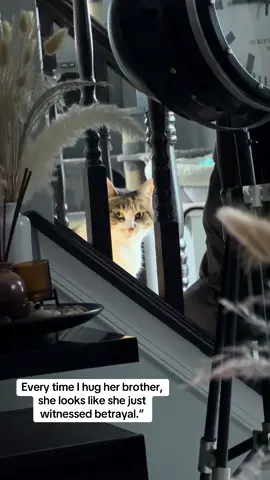 Her face says, ‘How could you?! I thought I was the favorite!’”#scarey #jealous #cat #catsoftiktok #catlover 