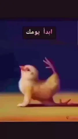 يالله صباح خير #حسو #حسو_الرسمي #صباحيات #الاحد #fyp 