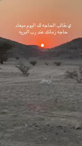 #اكسبلورexplore #اكسبلور #trending #foryoupage #اكسبلورexplore  ي طالب الحاجه بدون موسيقى