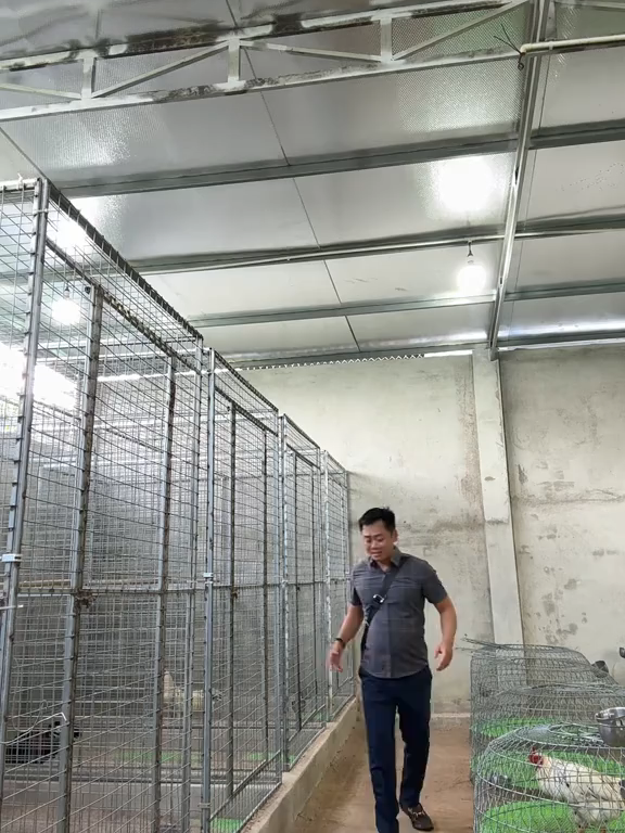 Buổi sáng vui vẻ nha ae 🥰🥰🥰#xuhuong #giaitri #vuive #vuivemoingay❤️ #yeuthuongdongvat