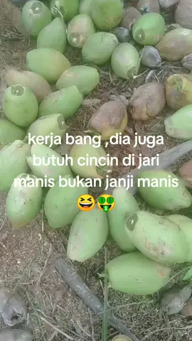 #ffyyyppp#petanimuda#