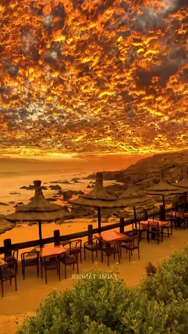 The sunset 🌄 and the geese flying together, I love it, and I love you even more ✨#sunset #fyp 