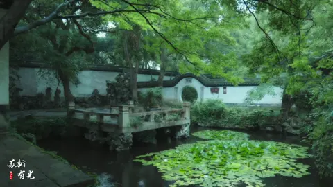 Giang Nam nơi sương giăng, nước biếc và lòng người cũng trở nên nhẹ nhàng #suutam #phonghoaphtn #canhdeptrunghoa #phonghoatuyetnguyet #tuyetlacsontrang 