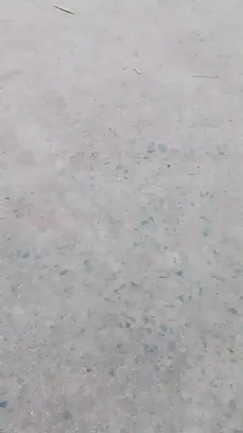 #fyppppppppppppppppppppppp 