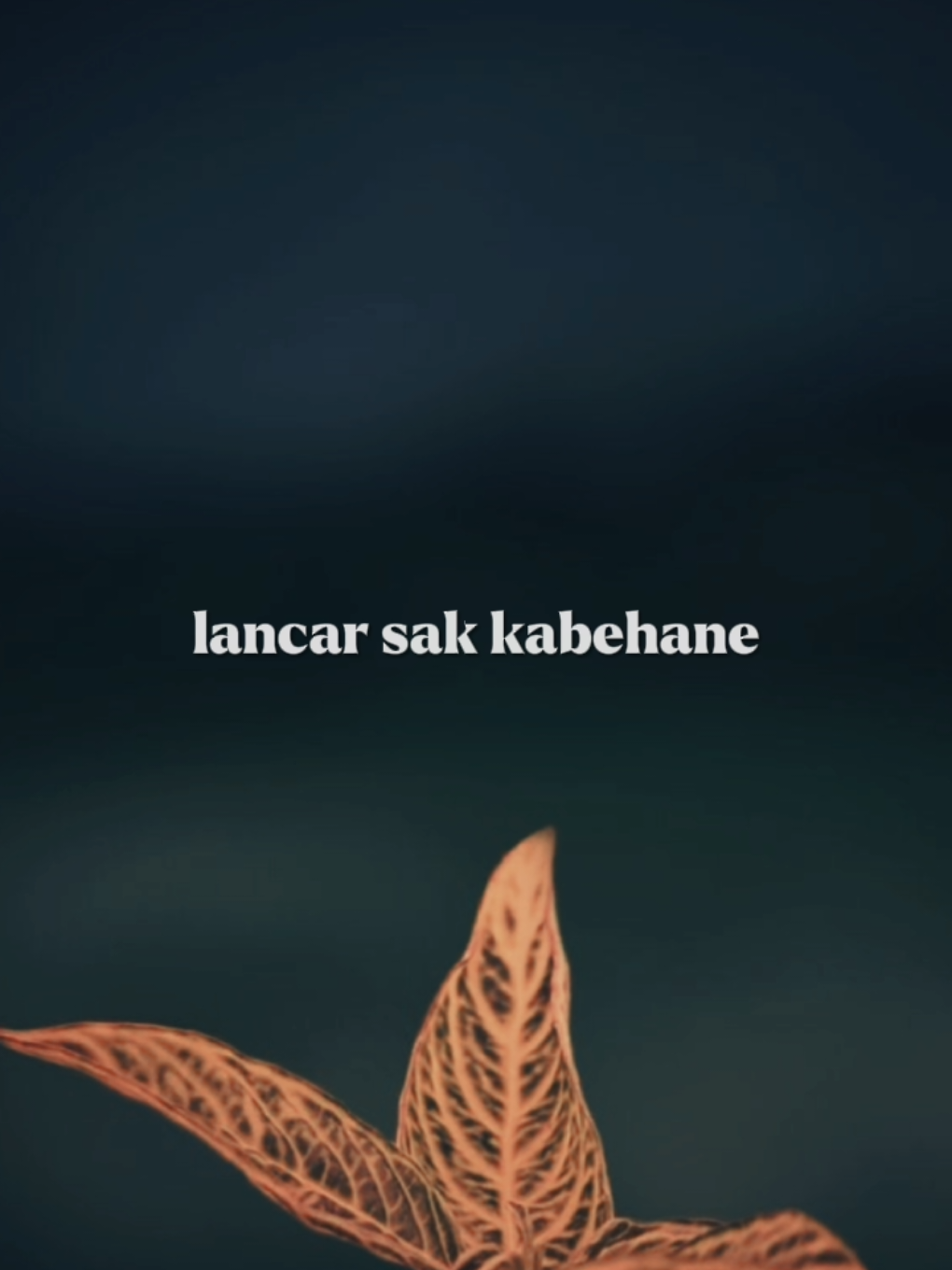 mugi langgeng saklawase 🤏 lagu terbaru - @Sadewok004  #overlay #templatelirik 