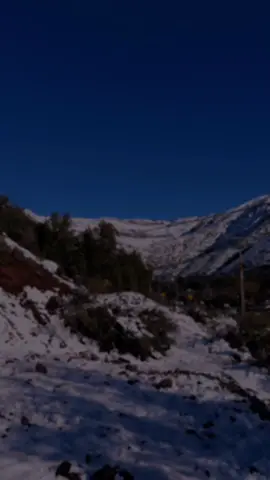 Domingo 9 de noviembre #frasesmotivadoras #frases #2025 #reflexion 