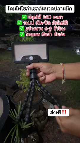 #เทรนด์วันนี้ โคมไฟโซล่าเซลล์หนวดปลาหมึก พิกัด🧺#โคมไฟโซล่าเซลล์ขาหนวดปลาหมึก #ไฟโซล่าเซลล์หนวดปลาหมึก #ไฟโซล่าเซลล์ไม่ใช้ไฟฟ้า #ไฟโซล่ากันน้ํากันแดด 