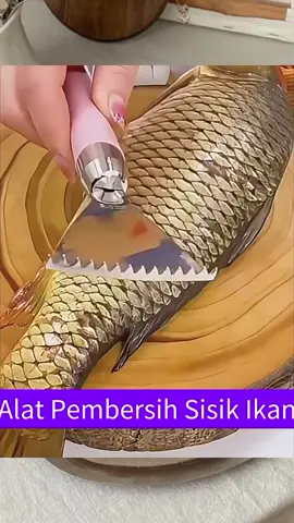 Alat Pembersih Sisik Ikan #alatpembersihsisikikanviral #alatpembersihsisikikan #alatpembersihsisik 