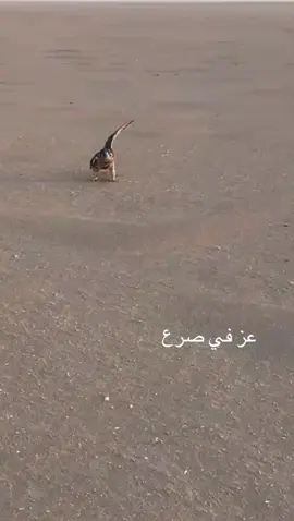 #LIVEIncentiveProgram #SideHustleLIVE #PaidPartnership 