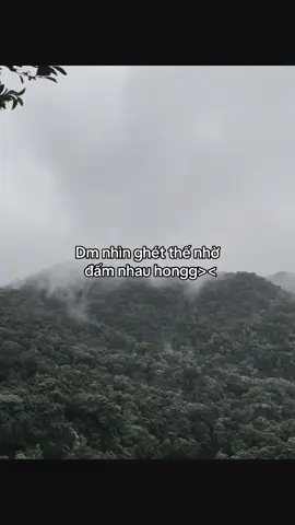 #tuananh🧸 #tamtrang #fbtxuhuong 