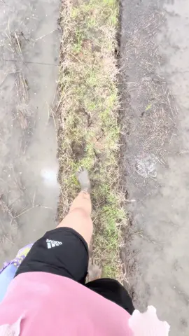 Ngirim part dua🙌🤣#petanimuda #butani #fy 